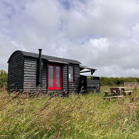 Shepherds Hut In A Private Meadow With Sea Views Hartland Buitenkant foto