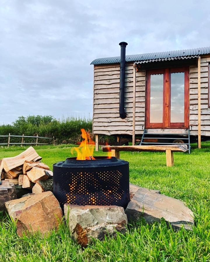 Shepherds Hut In A Private Meadow With Sea Views Hartland Buitenkant foto