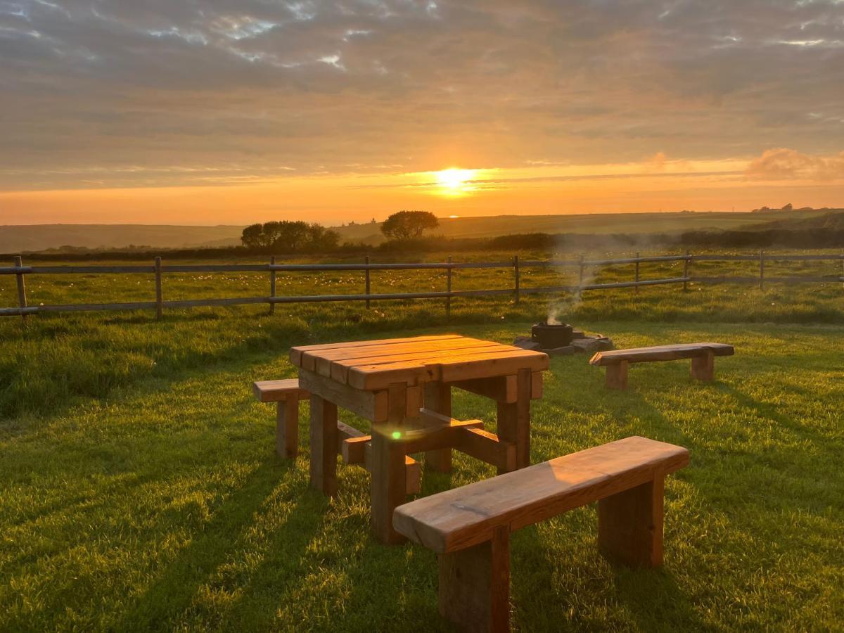 Shepherds Hut In A Private Meadow With Sea Views Hartland Buitenkant foto